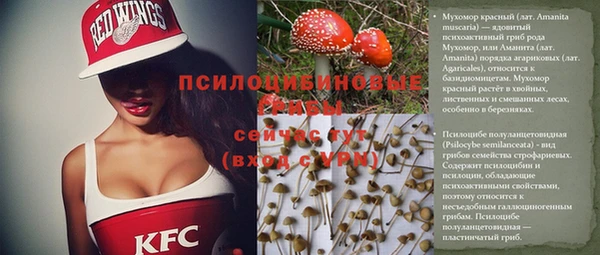 mdpv Лиски